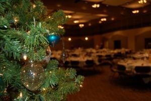 fir_in_focus